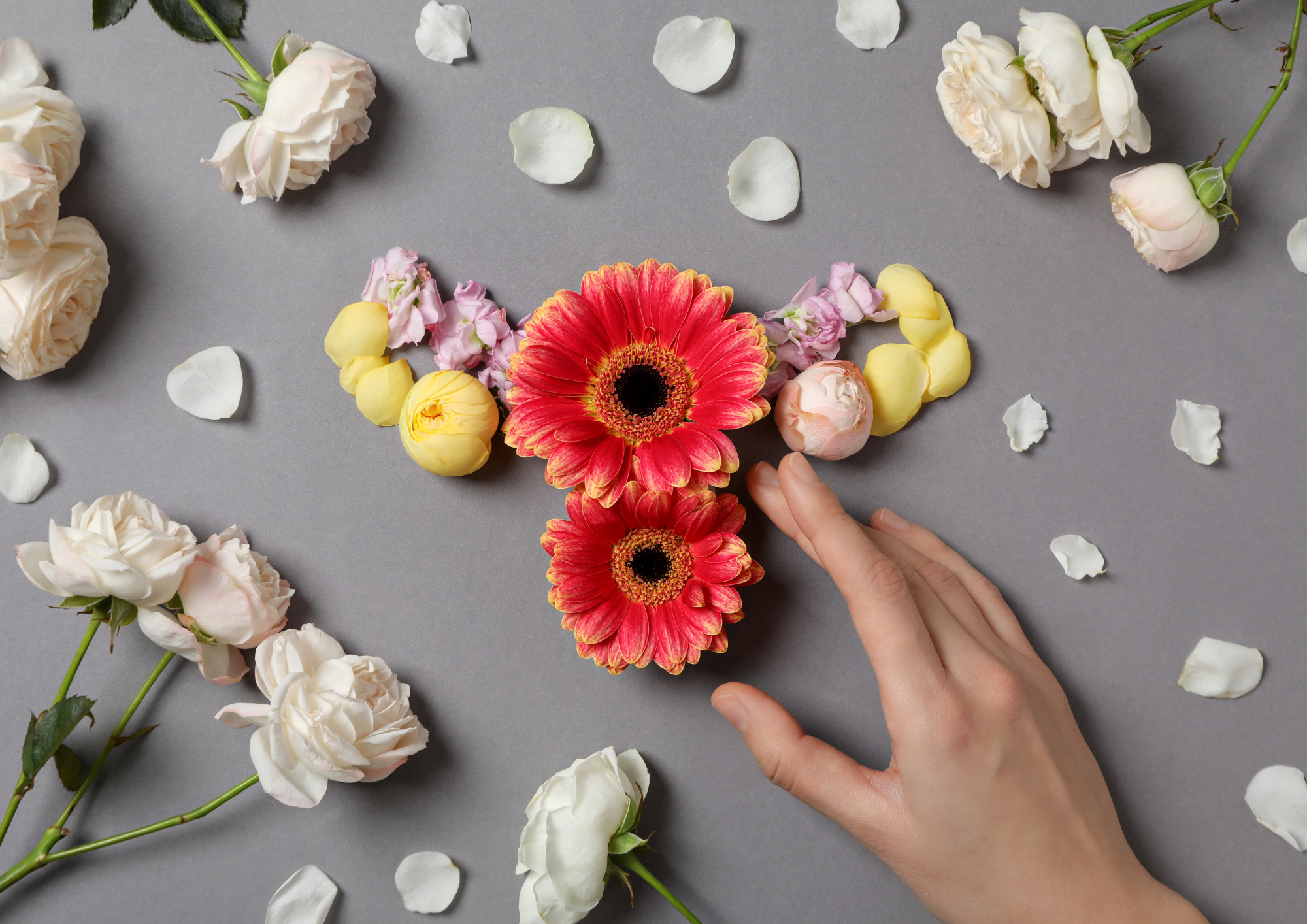 Your Path to Wellness on Menopause